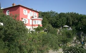 Apartments Villa Dora